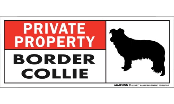 画像1: [MAGSIGN] ボーダーコリー マグネット＆ステッカー 犬 英語 私的所有権・プライベート PRIVATE PROPERTY BORDER COLLIE 対象:車(ドア/ガラス/ボディ)・屋外(玄関扉/窓ガラス/メールポスト) 日本製 (1)