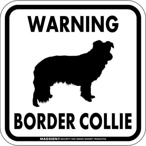 画像1: [MAGSIGN] WARNING BORDER COLLIE マグネット＆ステッカー：ボーダーコリー(ホワイト/イエロー/オレンジ) 注意 英語 正方形 車＆屋外用(防水性/耐光性) 日本製 (1)