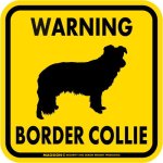 画像3: [MAGSIGN] WARNING BORDER COLLIE マグネット＆ステッカー：ボーダーコリー(ホワイト/イエロー/オレンジ) 注意 英語 正方形 車＆屋外用(防水性/耐光性) 日本製 (3)