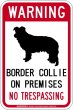 画像1: [MAGSIGN] ボーダーコリー 警戒 英語 立入禁止 マグネット＆ステッカー WARNING BORDER COLLIE ON PREMISES NO TRESPASSING 車/屋外用 日本製 (1)