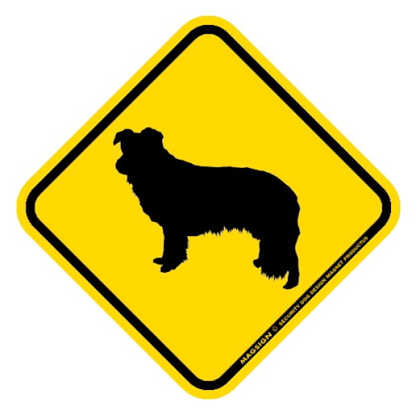 画像1: [MAGSIGN] 犬横断注意/犬飛び出し注意 マグネット＆ステッカー 黄色(イエロー) 車 屋外用(防水/耐水・耐光仕様) 日本製：ボーダーコリー (1)