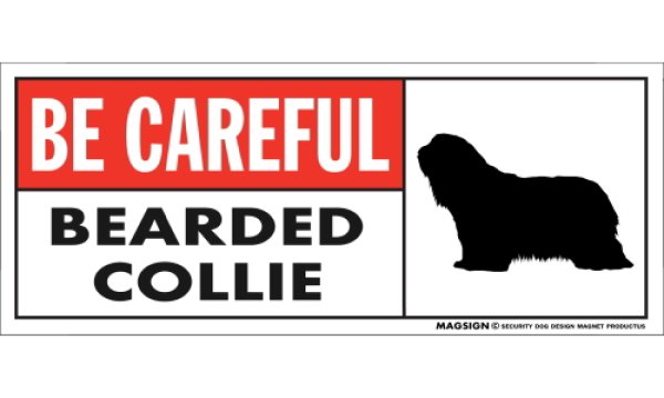 画像1: [MAGSIGN] ビアデッドコリー マグネット＆ステッカー (犬)気を付けて 英語 BE CAREFUL BEARDED COLLIE 対象:車(ドア/ガラス/ボディ)・屋外(玄関扉/窓ガラス/メールポスト) 日本製 (1)