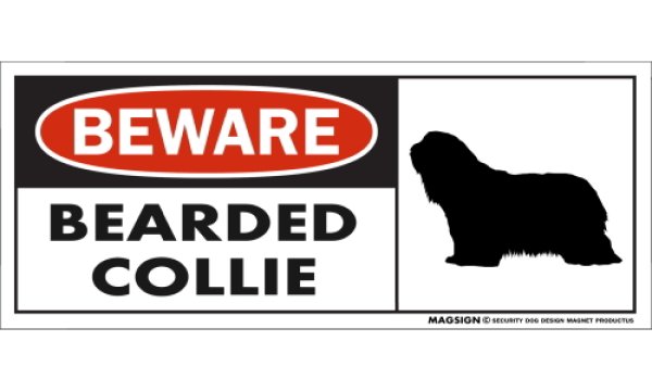 画像1: [MAGSIGN] ビアデッドコリー マグネット＆ステッカー 犬 注意 英語 BEWARE BEARDED COLLIE 対象:車(ドア/ガラス/ボディ)・屋外(玄関扉/窓ガラス/メールポスト) 日本製 (1)