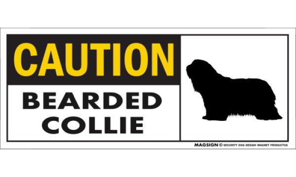 画像1: [MAGSIGN] ビアデッドコリー マグネット＆ステッカー 英語 警戒 CAUTION BEARDED COLLIE 対象:車(ドア/ガラス/ボディ)・屋外(玄関扉/窓ガラス/メールポスト) 日本製 (1)