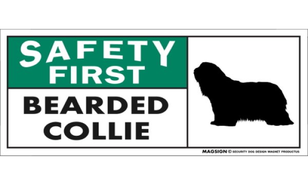 画像1: [MAGSIGN] ビアデッドコリー マグネット＆ステッカー 英語 安全第一 SAFETY FIRST BEARDED COLLIE 対象:車(ドア/ガラス/ボディ)・屋外(玄関扉/窓ガラス/メールポスト) 日本製 (1)