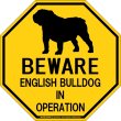 画像1: [MAGSIGN] イングリッシュブルドッグ 注意 英語 英文 ローマ字 オペレーション中 動作中 オクタゴン(八角形)マグネット＆ステッカー BEWARE ENGLISH BULLDOG IN OPERATION 車/屋外用 日本製 (1)