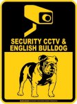 画像2: イングリッシュブルドッグ＆防犯カメラ 監視 警戒中 英語 マグサイン(マグネット/ステッカー)：SECURITY CCTV ＆ ENGLISH BULLDOG [MAGSIGN] (2)