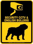 画像1: イングリッシュブルドッグ＆防犯カメラ 監視 警戒中 英語 マグサイン(マグネット/ステッカー)：SECURITY CCTV ＆ ENGLISH BULLDOG [MAGSIGN] (1)