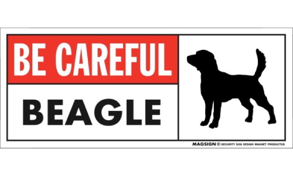 画像1: [MAGSIGN] ビーグル マグネット＆ステッカー (犬)気を付けて 英語 BE CAREFUL BEAGLE 対象:車(ドア/ガラス/ボディ)・屋外(玄関扉/窓ガラス/メールポスト) 日本製 (1)