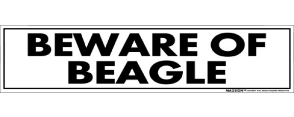 画像1: [MAGSIGN] BEWARE OF BEAGLE マグネット＆ステッカー：ビーグル (1)