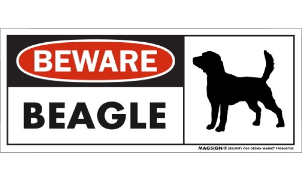 画像1: [MAGSIGN] ビーグル マグネット＆ステッカー 犬 注意 英語 BEWARE BEAGLE 対象:車(ドア/ガラス/ボディ)・屋外(玄関扉/窓ガラス/メールポスト) 日本製 (1)