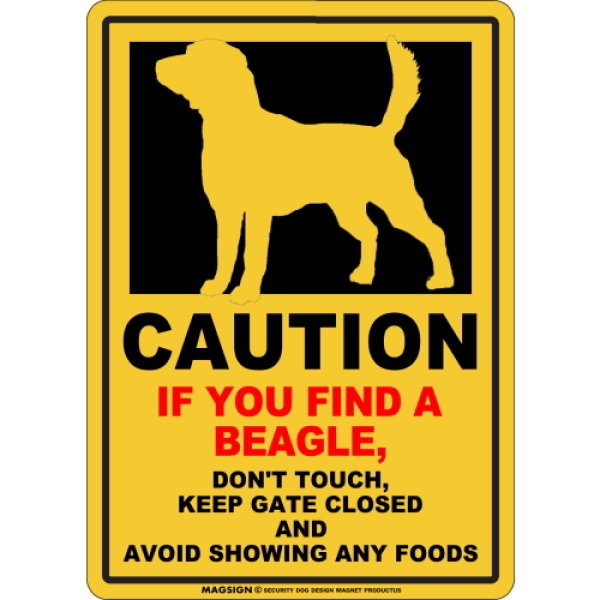 画像1: CAUTION IF YOU FIND マグネットサイン：ビーグル（イエロー） (1)