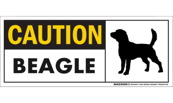 画像1: [MAGSIGN] ビーグル マグネット＆ステッカー 英語 警戒 CAUTION BEAGLE 対象:車(ドア/ガラス/ボディ)・屋外(玄関扉/窓ガラス/メールポスト) 日本製 (1)