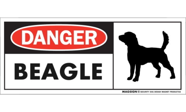 画像1: [MAGSIGN] ビーグル マグネット＆ステッカー 英語 危ない 危険 DANGER BEAGLE 対象:車(ドア/ガラス/ボディ)・屋外(玄関扉/窓ガラス/メールポスト) 日本製 (1)