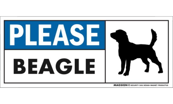 画像1: [MAGSIGN] ビーグル マグネット＆ステッカー 犬 英語 喜ばせる 満足させる PLEASE BEAGLE 対象:車(ドア/ガラス/ボディ)・屋外(玄関扉/窓ガラス/メールポスト) 日本製 (1)