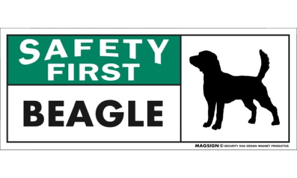 画像1: [MAGSIGN] ビーグル マグネット＆ステッカー 英語 安全第一 SAFETY FIRST BEAGLE 対象:車(ドア/ガラス/ボディ)・屋外(玄関扉/窓ガラス/メールポスト) 日本製 (1)