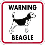 画像1: [MAGSIGN] WARNING BEAGLE マグネット＆ステッカー：ビーグル(ホワイト/イエロー/オレンジ) 注意 英語 正方形 車＆屋外用(防水性/耐光性) 日本製 (1)
