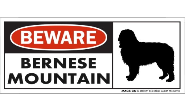 画像1: [MAGSIGN] バーニーズマウンテンドッグ マグネット＆ステッカー 犬 注意 英語 BEWARE BERNESE MOUNTAIN 対象:車(ドア/ガラス/ボディ)・屋外(玄関扉/窓ガラス/メールポスト) 日本製 (1)