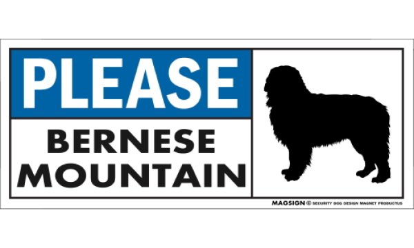 画像1: [MAGSIGN] バーニーズマウンテンドッグ マグネット＆ステッカー 犬 英語 喜ばせる 満足させる PLEASE BERNESE MOUNTAIN 対象:車(ドア/ガラス/ボディ)・屋外(玄関扉/窓ガラス/メールポスト) 日本製 (1)