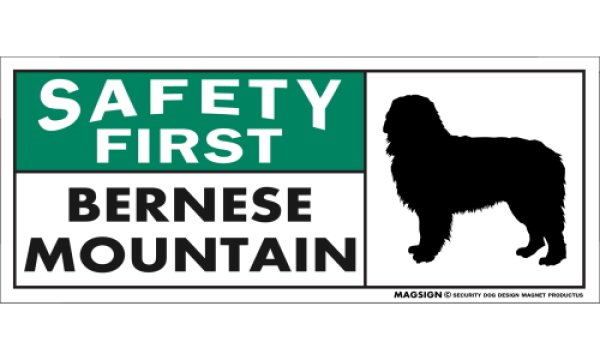 画像1: [MAGSIGN] バーニーズマウンテンドッグ マグネット＆ステッカー 英語 安全第一 SAFETY FIRST BERNESE MOUNTAIN 対象:車(ドア/ガラス/ボディ)・屋外(玄関扉/窓ガラス/メールポスト) 日本製 (1)