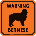 画像4: [MAGSIGN] WARNING BERNESE マグネット＆ステッカー：バーニーズ(ホワイト/イエロー/オレンジ) 注意 英語 正方形 車＆屋外用(防水性/耐光性) 日本製 (4)