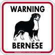 画像4: [MAGSIGN] WARNING BERNESE マグネット＆ステッカー：バーニーズ(ホワイト/イエロー/オレンジ) 注意 英語 正方形 車＆屋外用(防水性/耐光性) 日本製 (4)