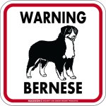 画像1: [MAGSIGN] WARNING BERNESE マグネット＆ステッカー：バーニーズ(ホワイト/イエロー/オレンジ) 注意 英語 正方形 車＆屋外用(防水性/耐光性) 日本製 (1)