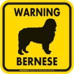 画像3: [MAGSIGN] WARNING BERNESE マグネット＆ステッカー：バーニーズ(ホワイト/イエロー/オレンジ) 注意 英語 正方形 車＆屋外用(防水性/耐光性) 日本製 (3)