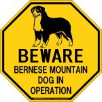 画像2: [MAGSIGN] バーニーズマウンテンドッグ 注意 英語 英文 ローマ字 オペレーション中 動作中 オクタゴン(八角形)マグネット＆ステッカー BEWARE BERNESE MOUNTAIN DOG IN OPERATION 車/屋外用 日本製 (2)