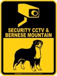 画像2: バーニーズマウンテン＆防犯カメラ 監視 警戒中 英語 マグサイン(マグネット/ステッカー)：SECURITY CCTV ＆ BERNESE MOUNTAIN [MAGSIGN] (2)