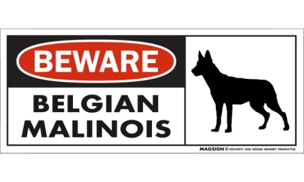 画像1: [MAGSIGN] ベルジアンマリノア マグネット＆ステッカー 犬 注意 英語 BEWARE BELGIAN MALINOIS 対象:車(ドア/ガラス/ボディ)・屋外(玄関扉/窓ガラス/メールポスト) 日本製 (1)