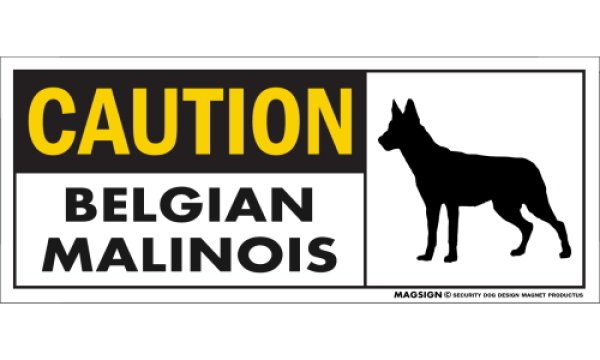 画像1: [MAGSIGN] ベルジアンマリノア マグネット＆ステッカー 英語 警戒 CAUTION BELGIAN MALINOIS 対象:車(ドア/ガラス/ボディ)・屋外(玄関扉/窓ガラス/メールポスト) 日本製 (1)