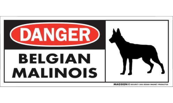 画像1: [MAGSIGN] ベルジアンマリノア マグネット＆ステッカー 英語 危ない 危険 DANGER BELGIAN MALINOIS 対象:車(ドア/ガラス/ボディ)・屋外(玄関扉/窓ガラス/メールポスト) 日本製 (1)