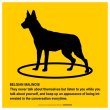 画像2: BELGIAN MALINOIS'S POEM [MAGSIGN] ポエムシリーズ マグネット＆ステッカー 防水/耐水・耐光性 日本製 英語＆シルエット：ベルジアンマリノア（ホワイト/イエロー） (2)