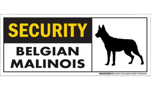 画像1: [MAGSIGN] ベルジアンマリノア セキュリティーマグネット＆ステッカー 英語 警備 防犯 SECURITY BELGIAN MALINOIS 対象:車(ドア/ガラス/ボディ)・屋外(玄関扉/窓ガラス/メールポスト) 日本製 (1)