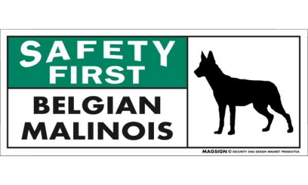 画像1: [MAGSIGN] ベルジアンマリノア マグネット＆ステッカー 英語 安全第一 SAFETY FIRST BELGIAN MALINOIS 対象:車(ドア/ガラス/ボディ)・屋外(玄関扉/窓ガラス/メールポスト) 日本製 (1)