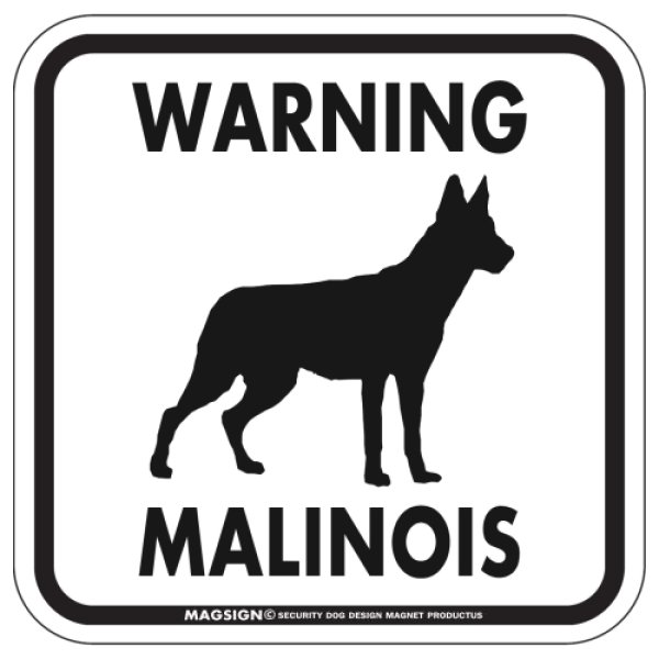 画像1: [MAGSIGN] WARNING MALINOIS マグネット＆ステッカー：マリノア(ホワイト/イエロー/オレンジ) 注意 英語 正方形 車＆屋外用(防水性/耐光性) 日本製 (1)