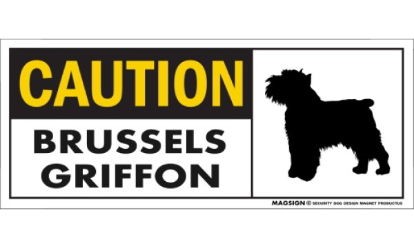 画像1: [MAGSIGN] ブリュッセルグリフォン マグネット＆ステッカー 英語 警戒 CAUTION BRUSSELS GRIFFON 対象:車(ドア/ガラス/ボディ)・屋外(玄関扉/窓ガラス/メールポスト) 日本製 (1)