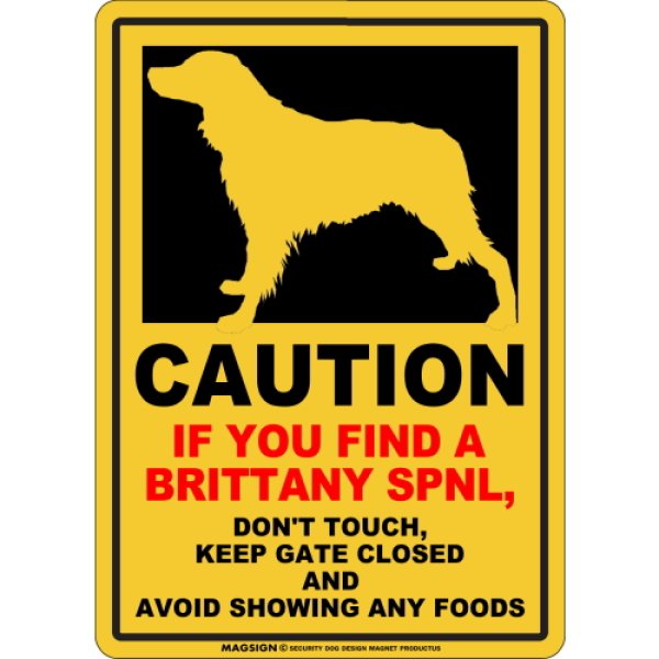 画像1: CAUTION IF YOU FIND マグネットサイン：ブリタニースパニエル（イエロー） (1)