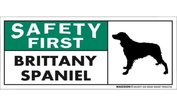 画像1: [MAGSIGN] ブリタニースパニエル マグネット＆ステッカー 英語 安全第一 SAFETY FIRST BRITTANY SPANIEL 対象:車(ドア/ガラス/ボディ)・屋外(玄関扉/窓ガラス/メールポスト) 日本製 (1)