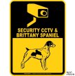 画像1: ブリタニースパニエル＆防犯カメラ 監視 警戒中 英語 マグサイン(マグネット/ステッカー)：SECURITY CCTV ＆ BRITTANY SPANIEL [MAGSIGN] (1)