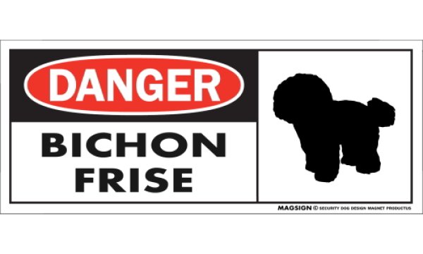 画像1: [MAGSIGN] ビションフリーゼ マグネット＆ステッカー 英語 危ない 危険 DANGER BICHON FRISE 対象:車(ドア/ガラス/ボディ)・屋外(玄関扉/窓ガラス/メールポスト) 日本製 (1)