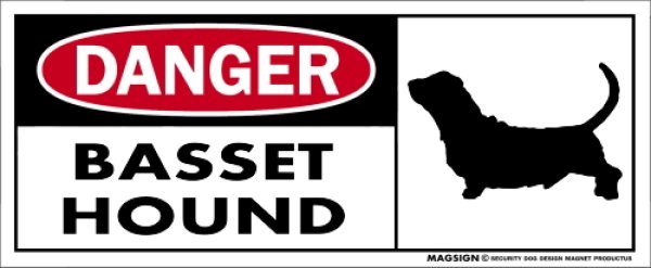 画像1: [MAGSIGN] バセットハウンド マグネット＆ステッカー 英語 危ない 危険 DANGER BASSET HOUND 対象:車(ドア/ガラス/ボディ)・屋外(玄関扉/窓ガラス/メールポスト) 日本製 (1)