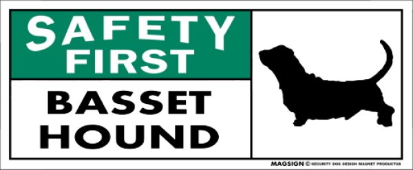 画像1: [MAGSIGN] バセットハウンド マグネット＆ステッカー 英語 安全第一 SAFETY FIRST BASSET HOUND 対象:車(ドア/ガラス/ボディ)・屋外(玄関扉/窓ガラス/メールポスト) 日本製 (1)