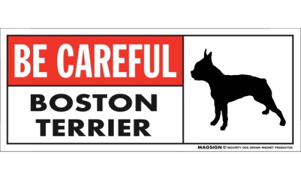 画像1: [MAGSIGN] ボストンテリア マグネット＆ステッカー (犬)気を付けて 英語 BE CAREFUL BOSTON TERRIER 対象:車(ドア/ガラス/ボディ)・屋外(玄関扉/窓ガラス/メールポスト) 日本製 (1)