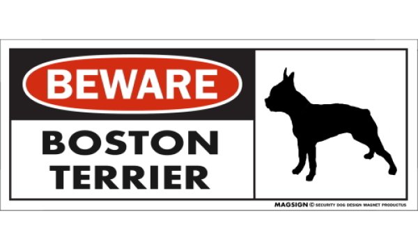 画像1: [MAGSIGN] ボストンテリア マグネット＆ステッカー 犬 注意 英語 BEWARE BOSTON TERRIER 対象:車(ドア/ガラス/ボディ)・屋外(玄関扉/窓ガラス/メールポスト) 日本製 (1)