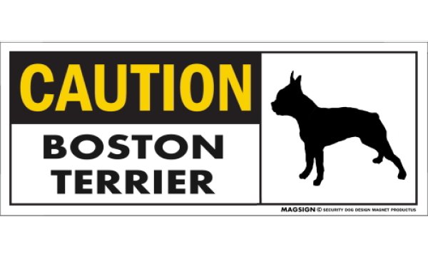 画像1: [MAGSIGN] ボストンテリア マグネット＆ステッカー 英語 警戒 CAUTION BOSTON TERRIER 対象:車(ドア/ガラス/ボディ)・屋外(玄関扉/窓ガラス/メールポスト) 日本製 (1)