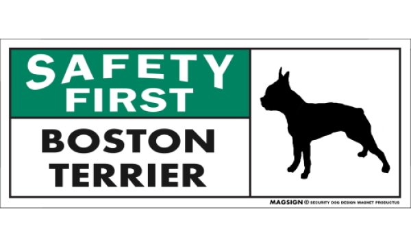 画像1: [MAGSIGN] ボストンテリア マグネット＆ステッカー 英語 安全第一 SAFETY FIRST BOSTON TERRIER 対象:車(ドア/ガラス/ボディ)・屋外(玄関扉/窓ガラス/メールポスト) 日本製 (1)