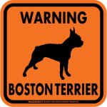 画像4: [MAGSIGN] WARNING BOSTON TERRIER マグネット＆ステッカー：ボストンテリア(ホワイト/イエロー/オレンジ) 注意 英語 正方形 車＆屋外用(防水性/耐光性) 日本製 (4)