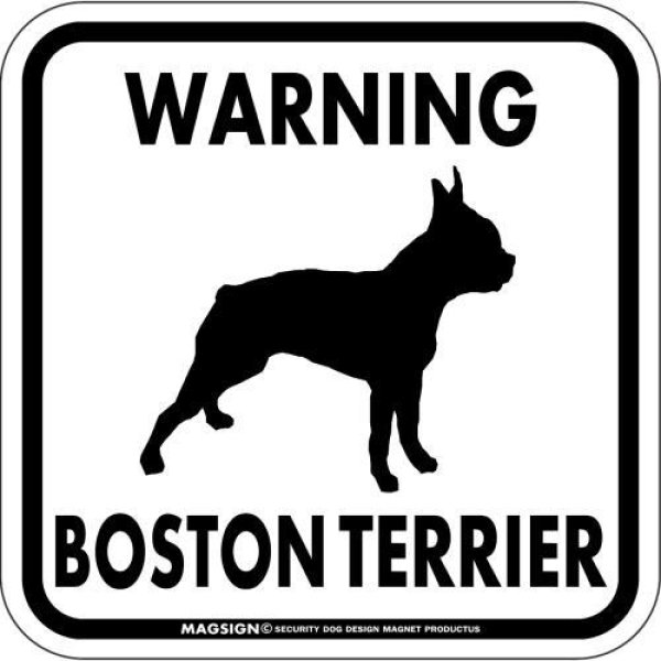 画像1: [MAGSIGN] WARNING BOSTON TERRIER マグネット＆ステッカー：ボストンテリア(ホワイト/イエロー/オレンジ) 注意 英語 正方形 車＆屋外用(防水性/耐光性) 日本製 (1)